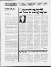 Síða 2