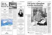 Síða 2
