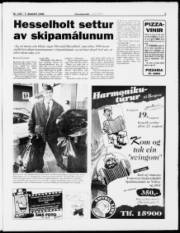 Síða 5