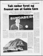 Síða 6