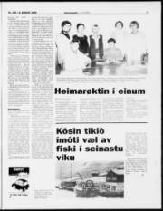 Síða 7