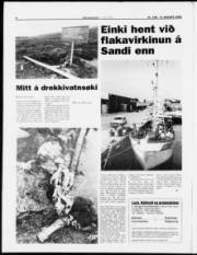 Síða 8