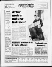 Síða 24