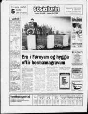 Síða 28