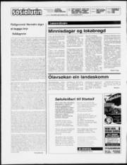 Síða 2