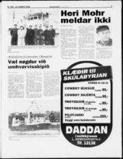 Síða 3