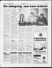 Síða 7
