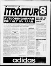 Síða 11