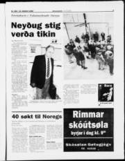 Síða 5
