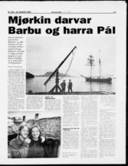 Síða 13