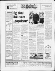 Síða 20