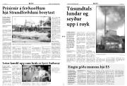 Síða 3