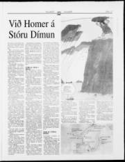 Síða 17