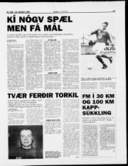 Síða 13