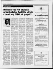 Síða 17
