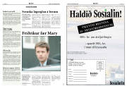 Síða 8