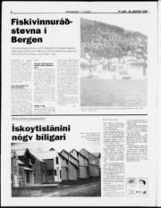 Síða 6