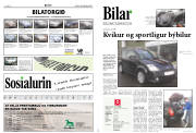 Síða 9