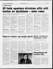 Síða 13