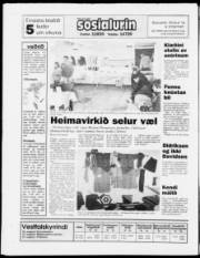 Síða 20
