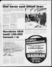 Síða 3