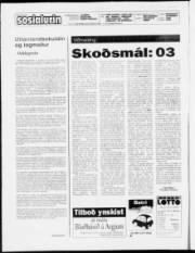Síða 2