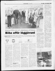 Síða 6