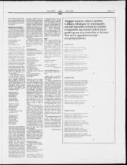 Síða 17