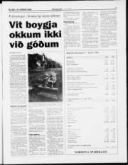 Síða 7