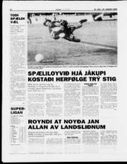 Síða 12