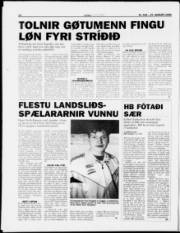 Síða 14