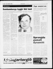 Síða 7