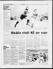 Síða 13