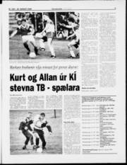 Síða 3