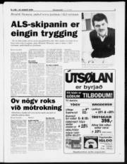 Síða 3