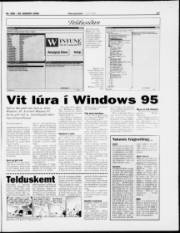 Síða 17