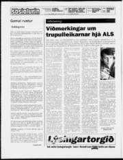 Síða 2