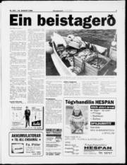 Síða 3