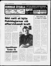 Síða 5