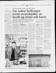 Síða 13