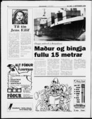 Síða 6