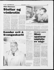 Síða 13