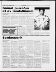 Síða 15