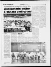 Síða 17