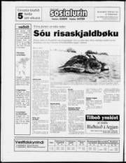 Síða 20