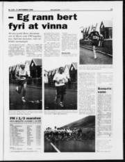 Síða 13
