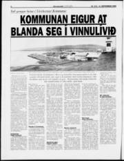 Síða 4
