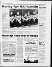 Síða 17