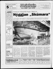 Síða 24