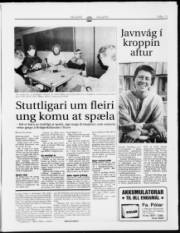 Síða 13
